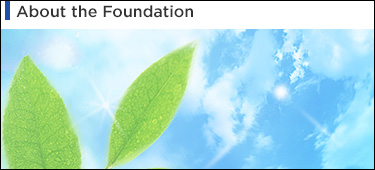 About the Foundation