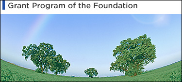 Grant Program of the Foundation