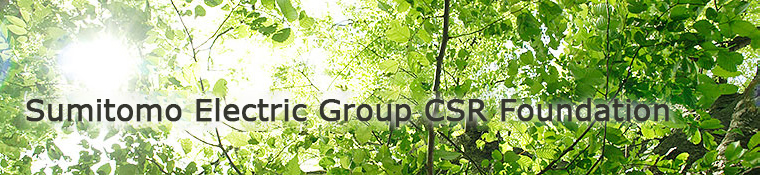 SEI Group CSR Foundation